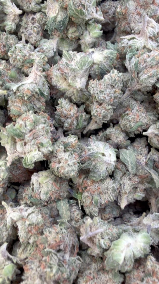 Chocolate Diesel Littles - Bulk Littles - Sativa