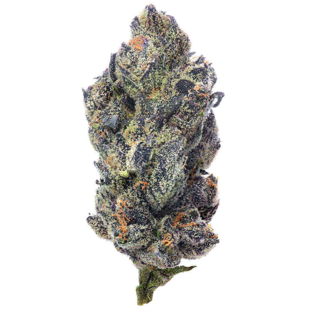 Indoor Exotics - Purple Jack - 28 Grams - Hybrid