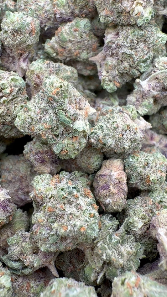 Citrus Skunk Indoor Littles - Bulk Littles - Hybrid