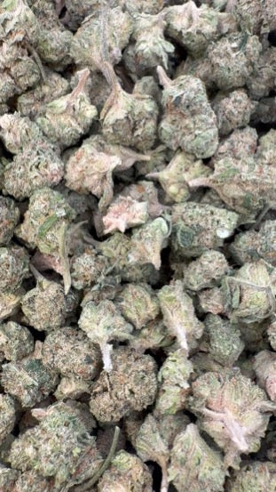 Donutz Littles - Bulk Littles - Indica