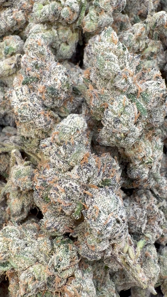 Elite Boutique Exotics Yuzu Cherries - Bulk- Hybrid