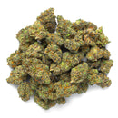 Purple Jack Indoor - 28 Grams - Sativa