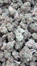 Orange Creamsicle - Bulk Littles - Sativa