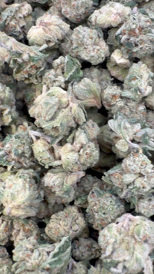 Zlushies Indoor Littles - Bulk Littles - Indica