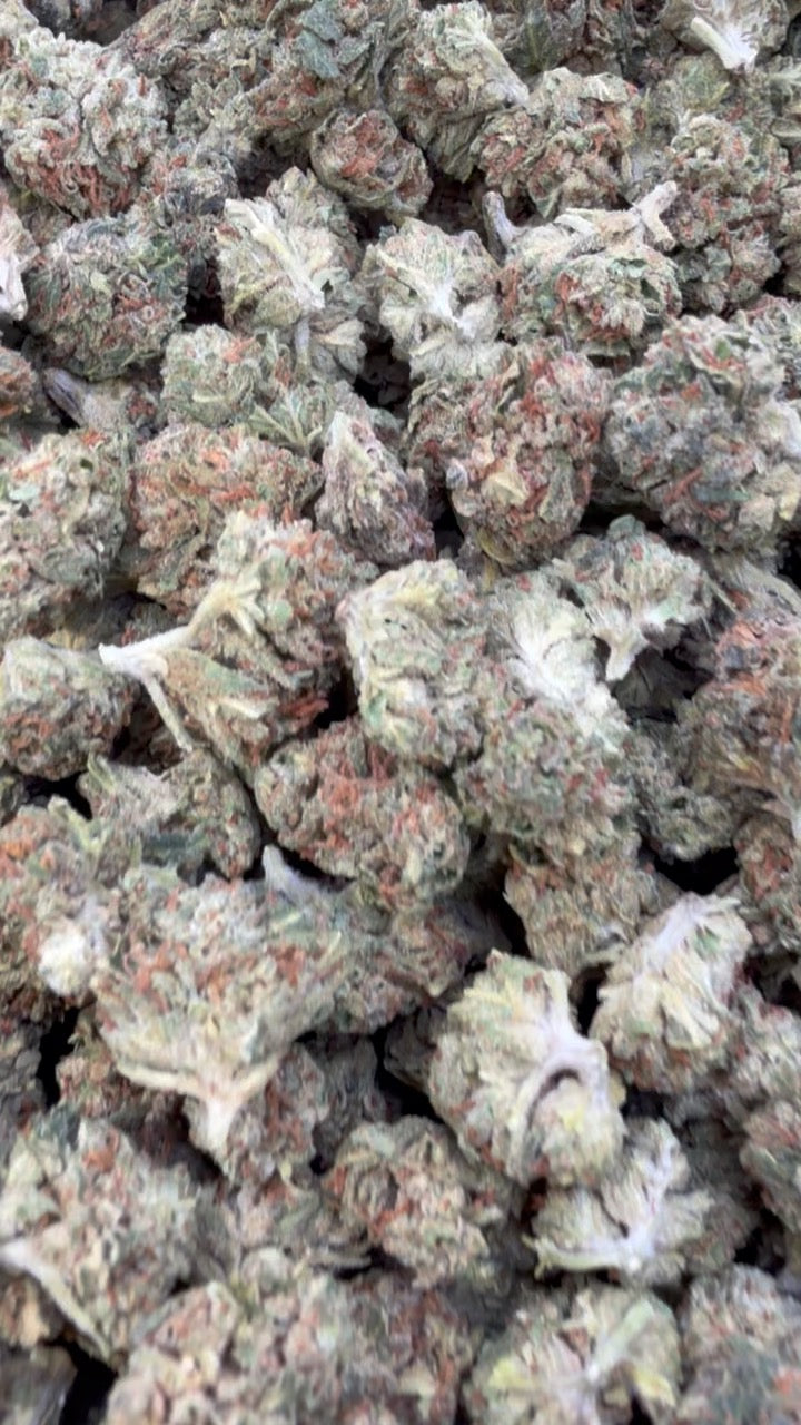 Jager Sour Diesel Littles - Bulk Littles - Sativa