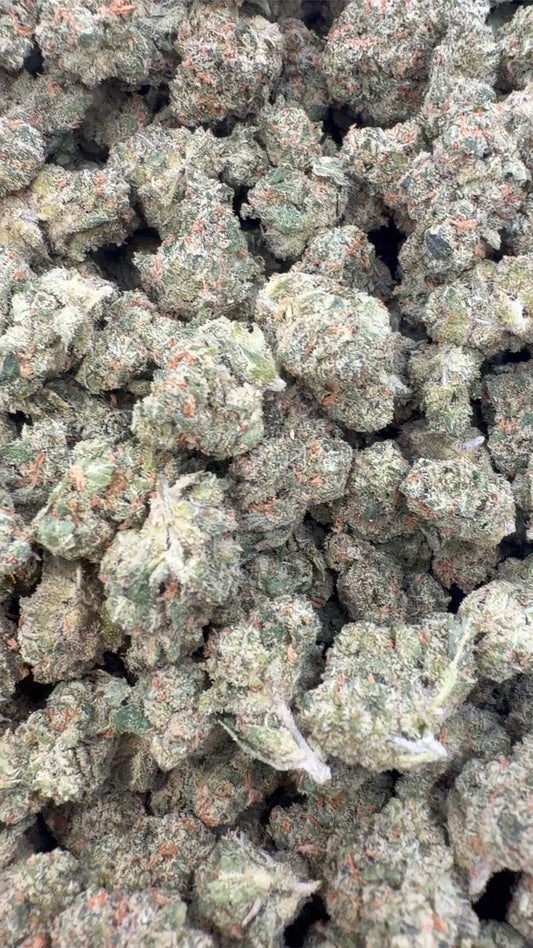 XJ 13 Indoor Littles - Bulk Littles - Sativa