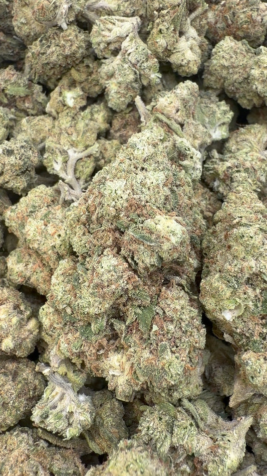 Jack Murphy - Bulk - Indica