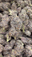 Indoor Exotic Purple Jack - Bulk - Hybrid