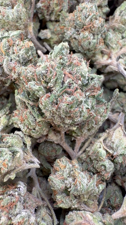 Skywalker OG Indoor Littles - Bulk Littles - Indica