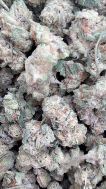 Thin Mintz Littles - Bulk Littles- Hybrid