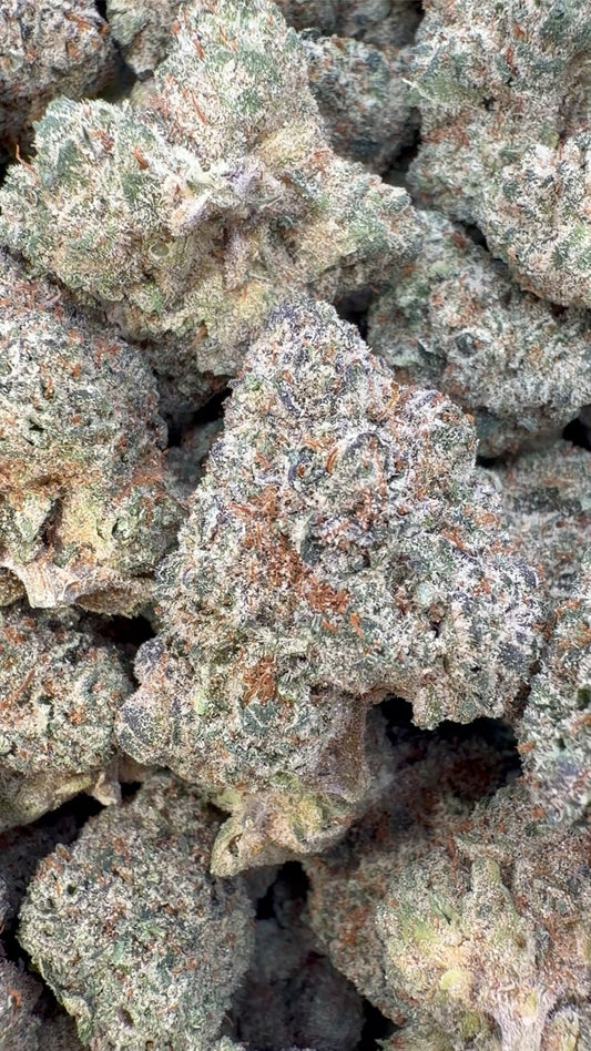 Jokerz Indoor - Bulk - Indica