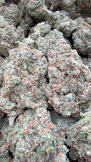 XJ 13 Indoor - Bulk - Sativa