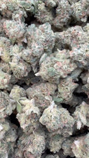 Blue Dream Indoor Littles  - Bulk Littles - Sativa