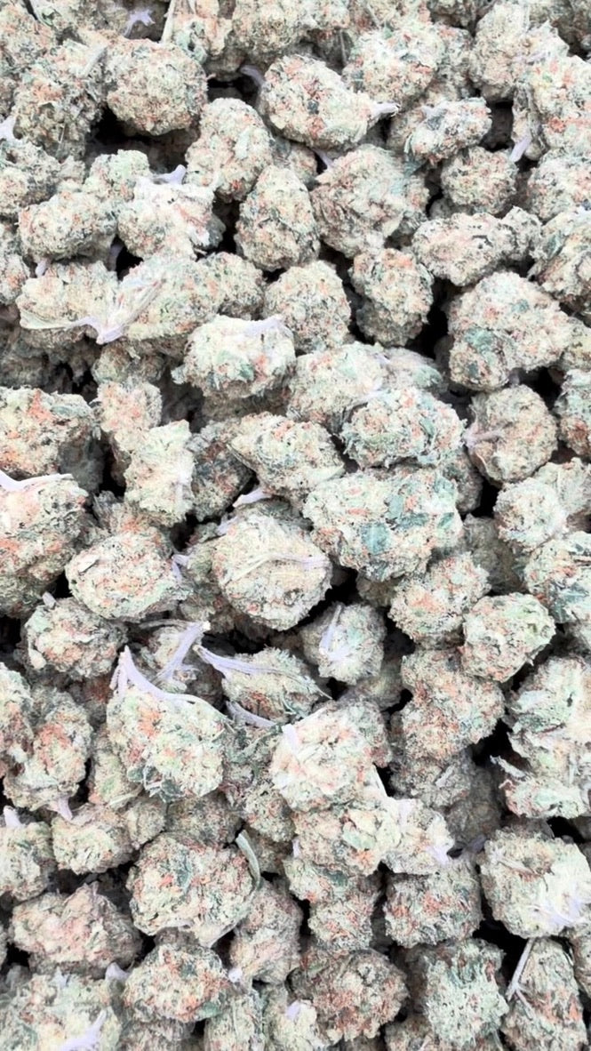 Cookie Crumble Littles - Bulk Littles - Hybrid
