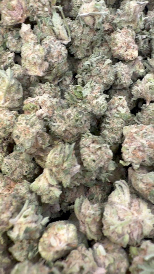 Blueberry Lemon Bars Indoor Littles - Bulk Littles - Hybrid