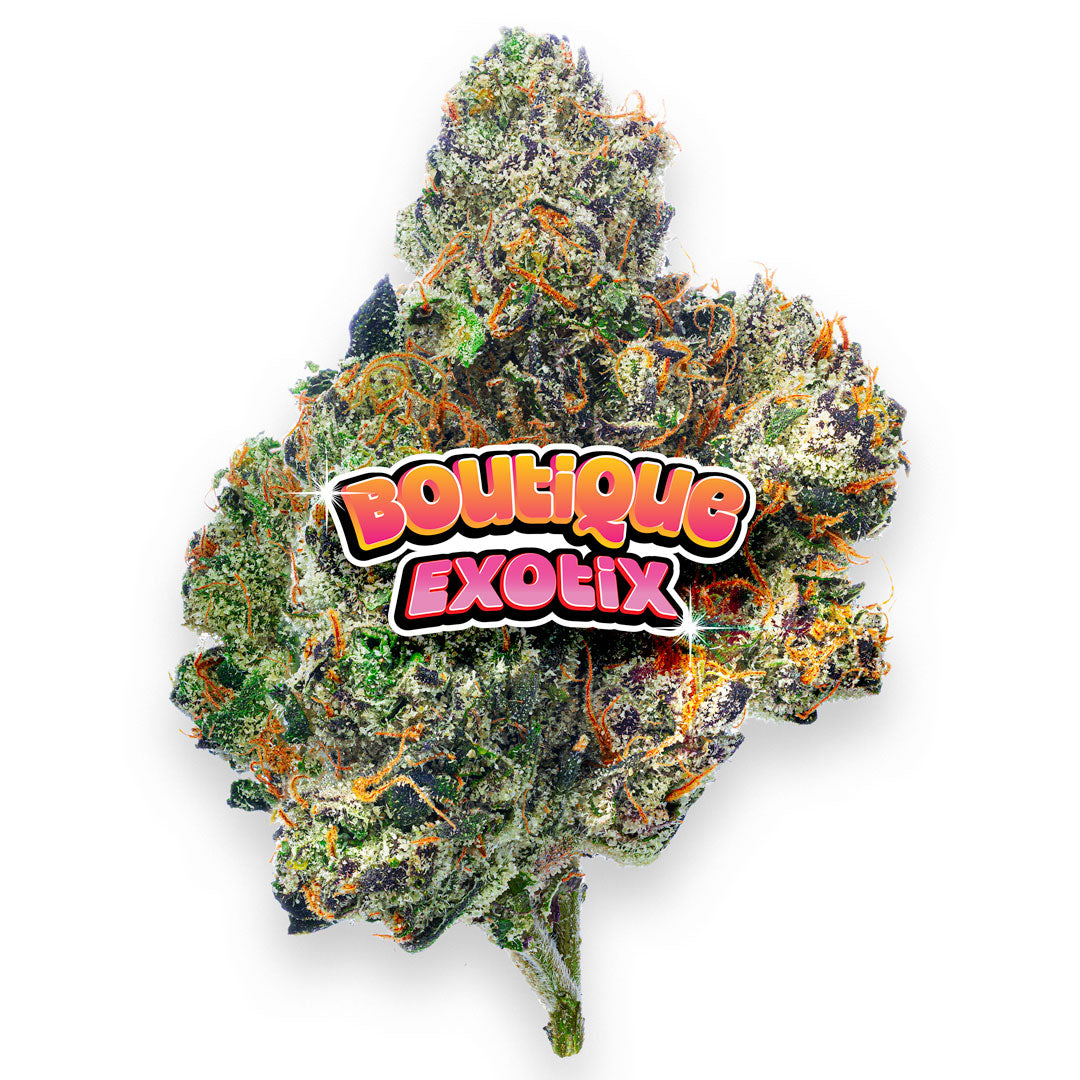 Boutique Exotics Obama Runtz - 28 Grams - Hybrid