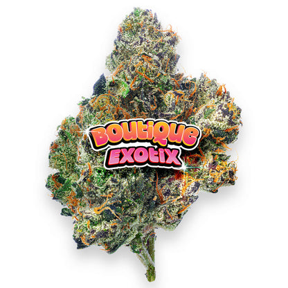 Boutique Exotics Obama Runtz - 28 Grams - Hybrid