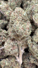 Sour OG - Bulk - Hybrid
