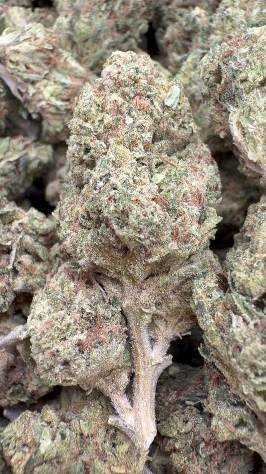 Sour OG - Bulk - Hybrid