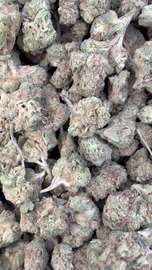 White Gelato Littles - Bulk Littles - Indica