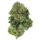 Gorilla Glue - 4 Grams - Hybrid