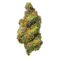 Sherblato - 28 Grams - Hybrid