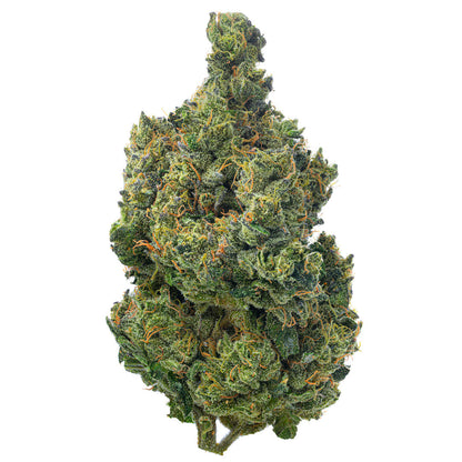Super Jack Indoor - 14 Grams - Sativa