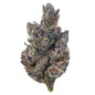 Indoor Exotics - Purple Jack - 14 Grams - Hybrid