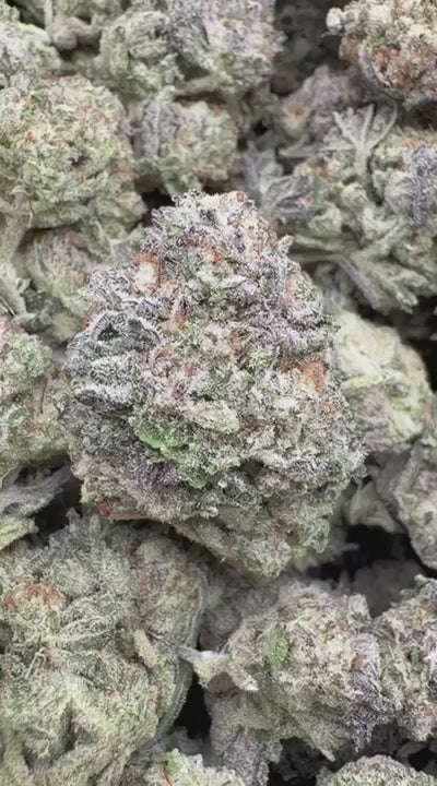 Truffle Indoor - Bulk - Indica
