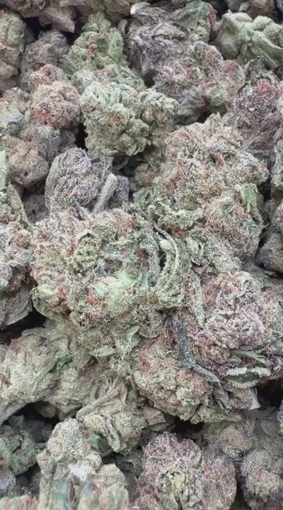 Runtz - Bulk - Hybrid