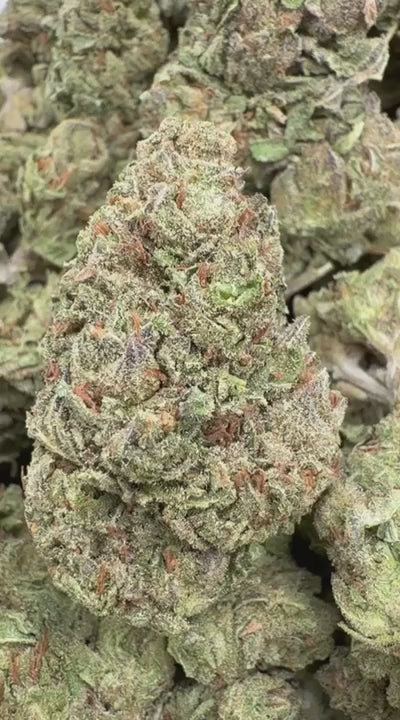 Zkittles x Mochi - Bulk - Hybrid