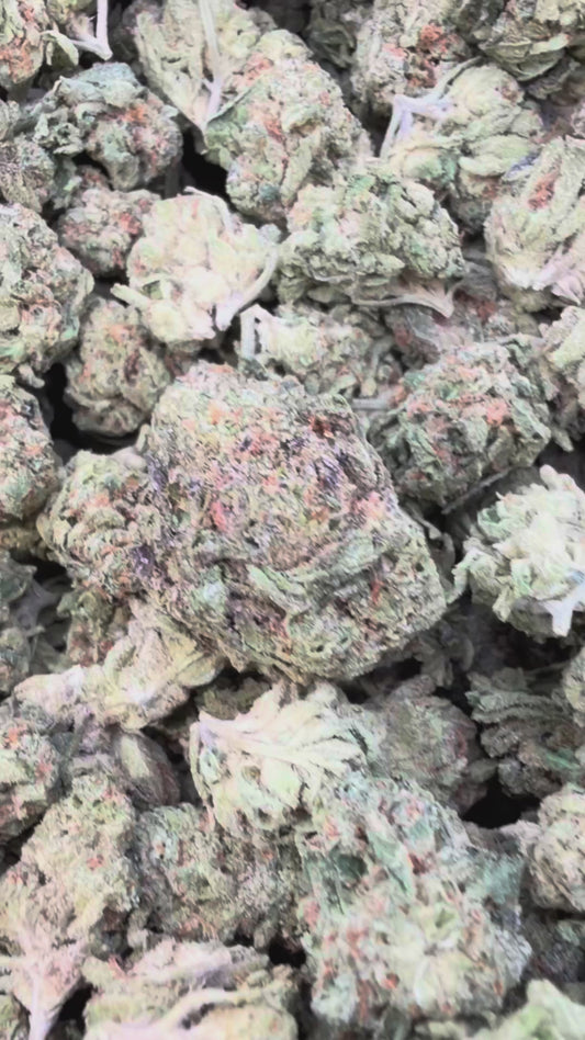 X Mas Mediums - Bulk Mediums - Indica