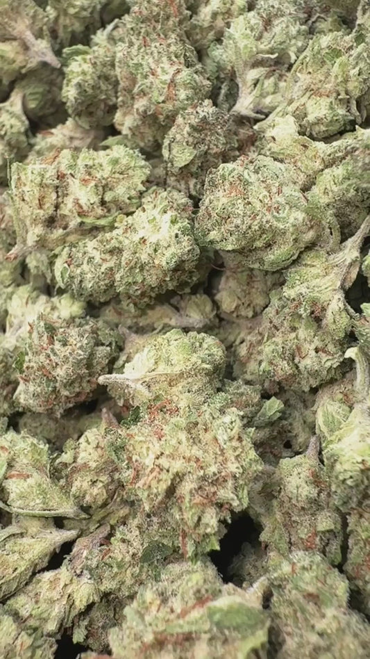 Durban Poison Littles - Bulk Littles - Sativa