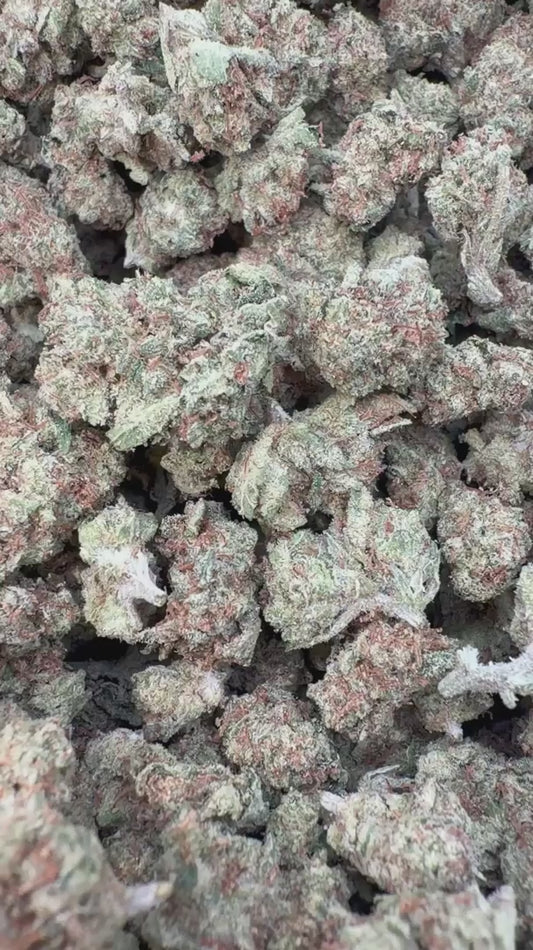 Sour Apple Indoor Littles - Bulk Littles - Hybrid