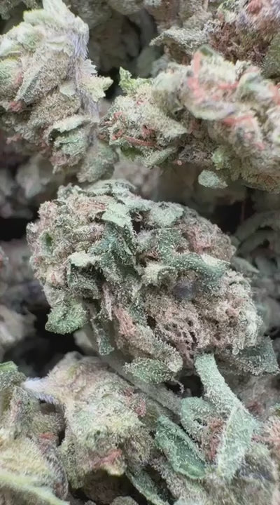 Purple Punch Littles - Bulk Littles - Indica