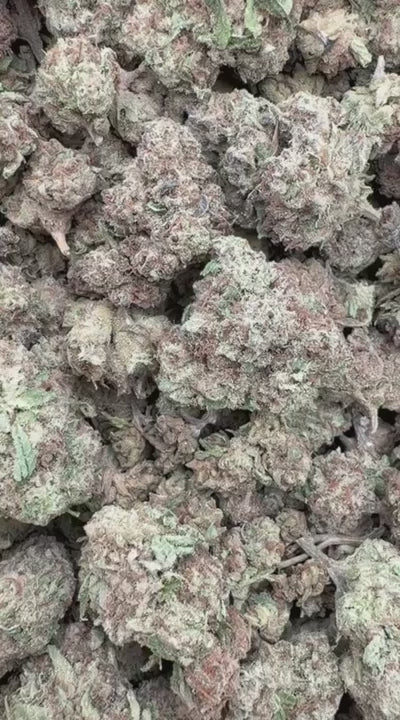 Raspberry Kush Littles - Bulk Littles - Indica