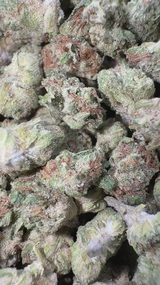 Raspberry Kush - Bulk Micros - Indica