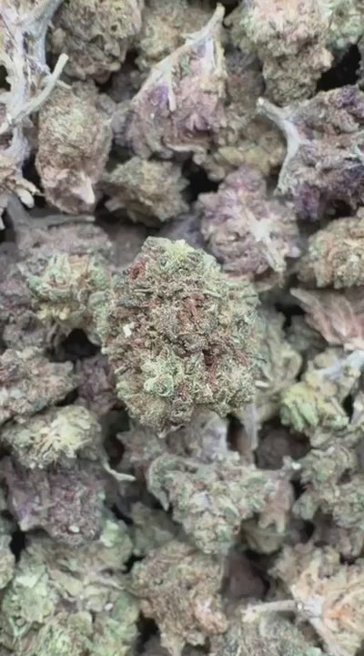Sour Diesel - Bulk - Sativa