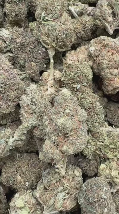 White Widow - Bulk - Hybrid