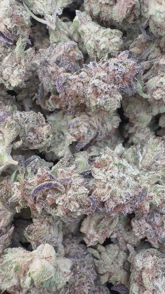 SinMint Cookies Indoor Littles - Bulk Littles - Indica