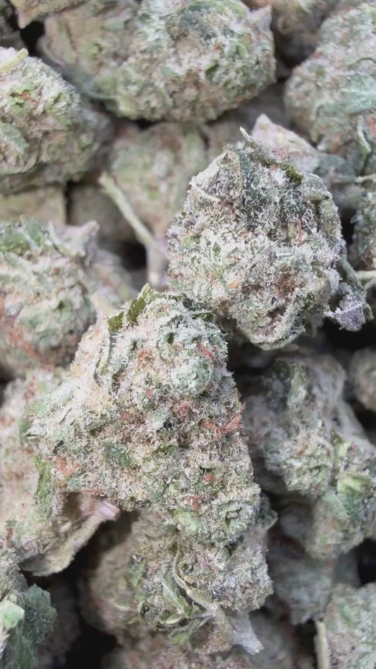 Sherbet & Haze Littles - Bulk Littles - Sativa