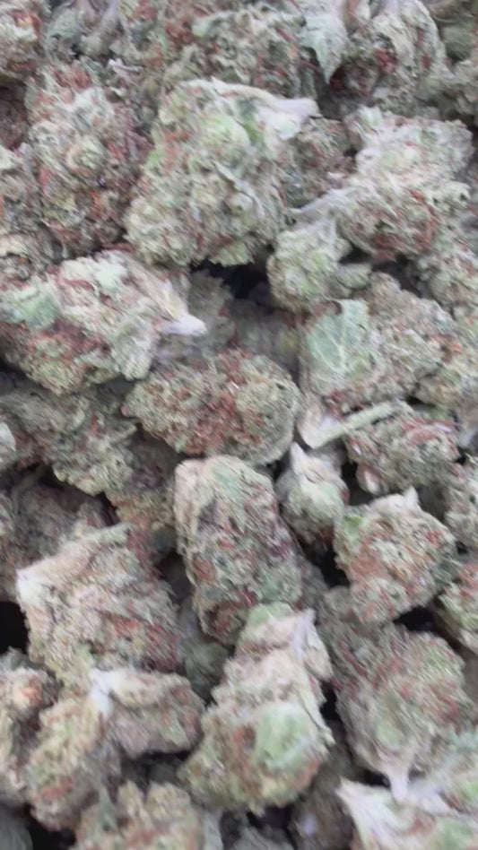 White Zkittlez Littles - Bulk Littles - Hybrid