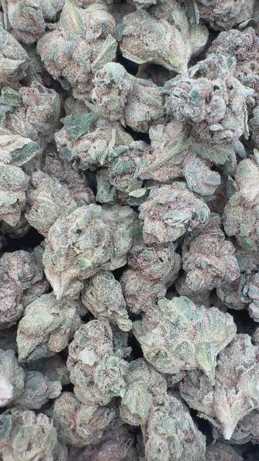 White Runtz Littles - Bulk Littles - Hybrid