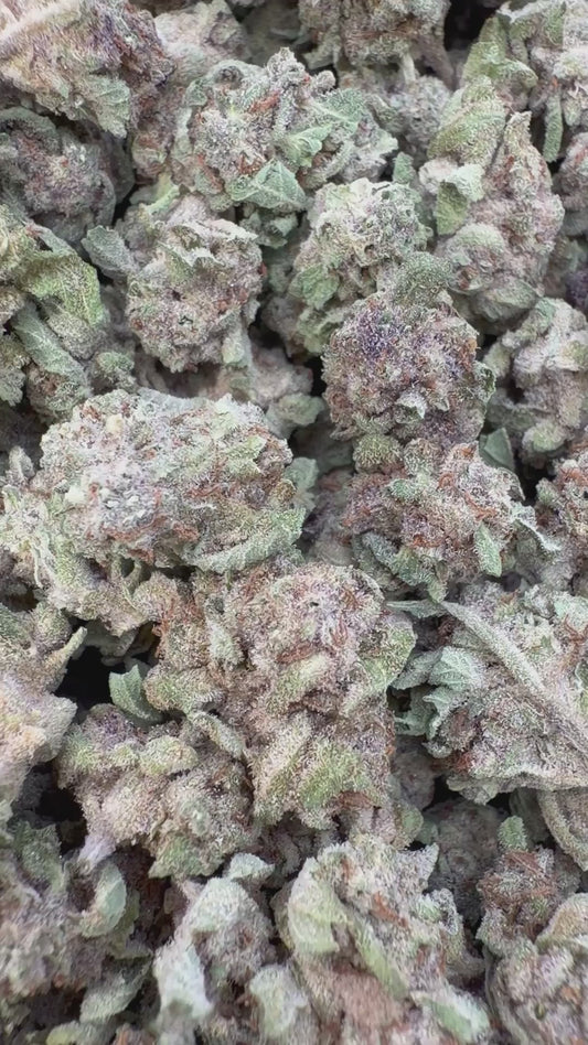 Sundae Driver Littles - Bulk Littles - Hybrid