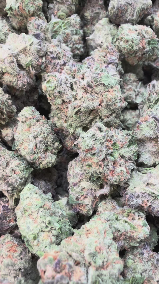 Snozz Berries Indoor Mediums - Bulk Mediums - Hybrid