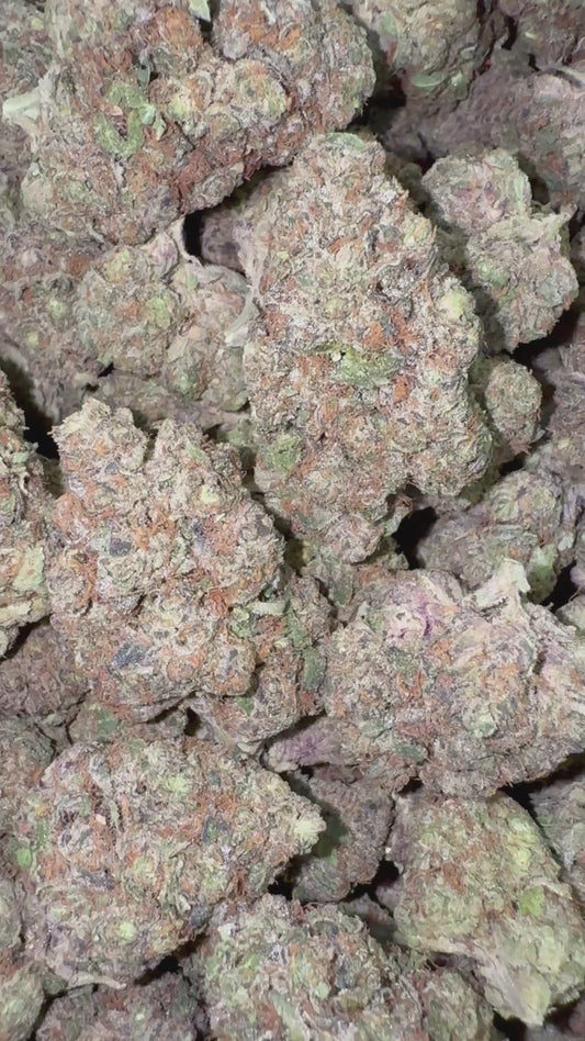 Zoap - Bulk - Hybrid