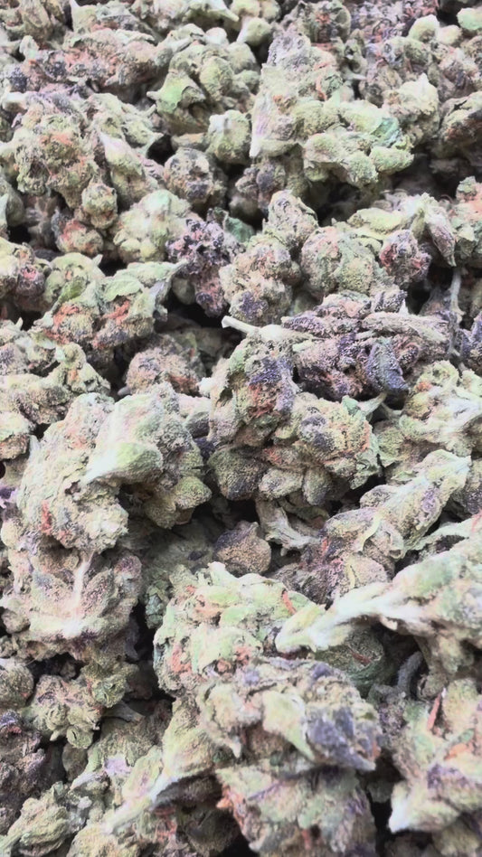 Winter Breath Littles - Bulk Littles - Hybrid