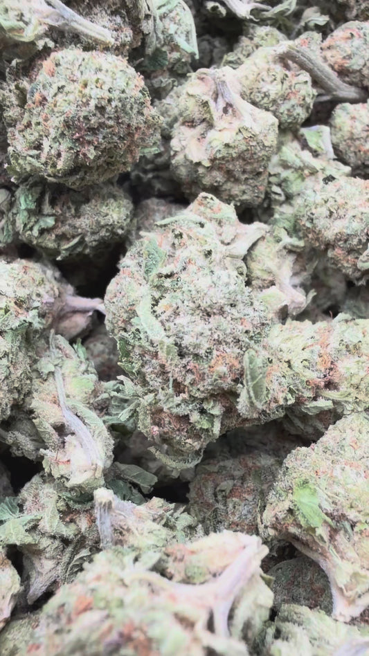 Slurty Mediums - Bulk Mediums - Indica