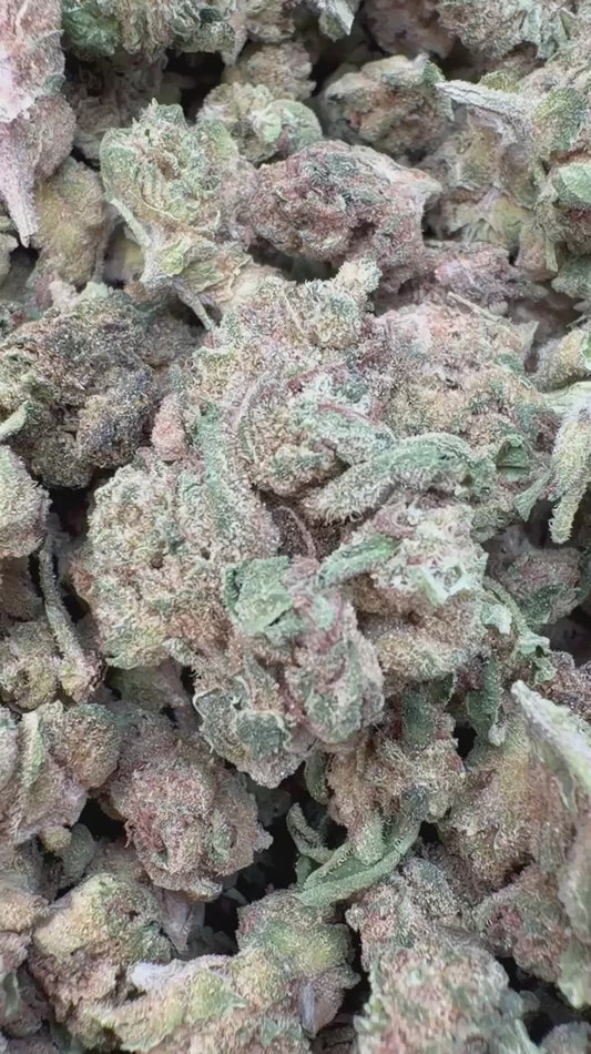 Sour OG Littles - Bulk Littles - Hybrid