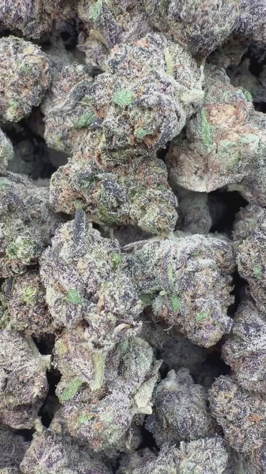 White Nerds Littles - Bulk Littles - Hybrid